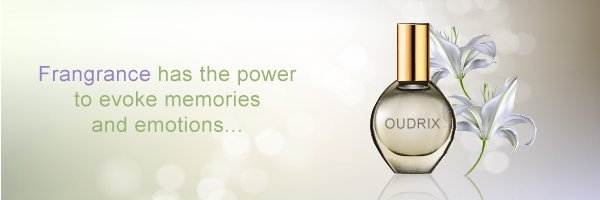Category Banner